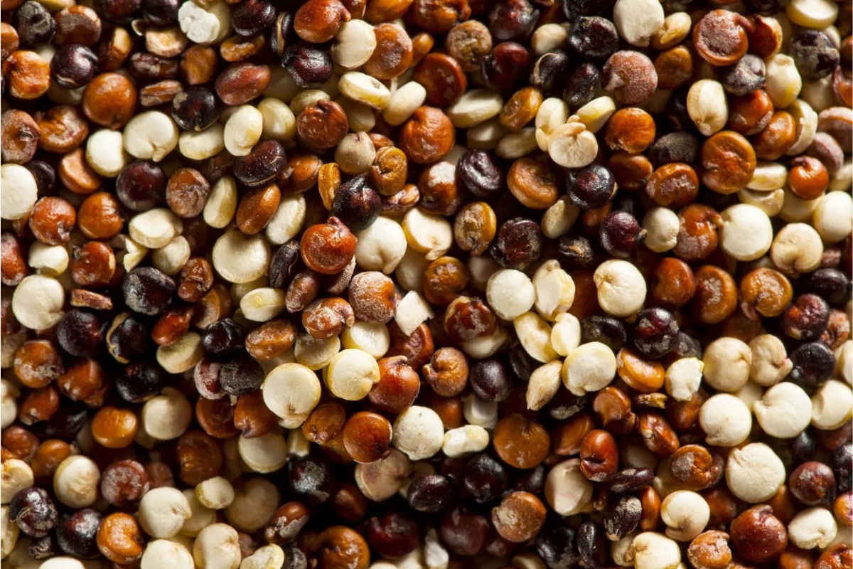 NUTSMAN BLOG Quinoa recept_ Výživné a chutné pokrmy s touto superpotravinou 9