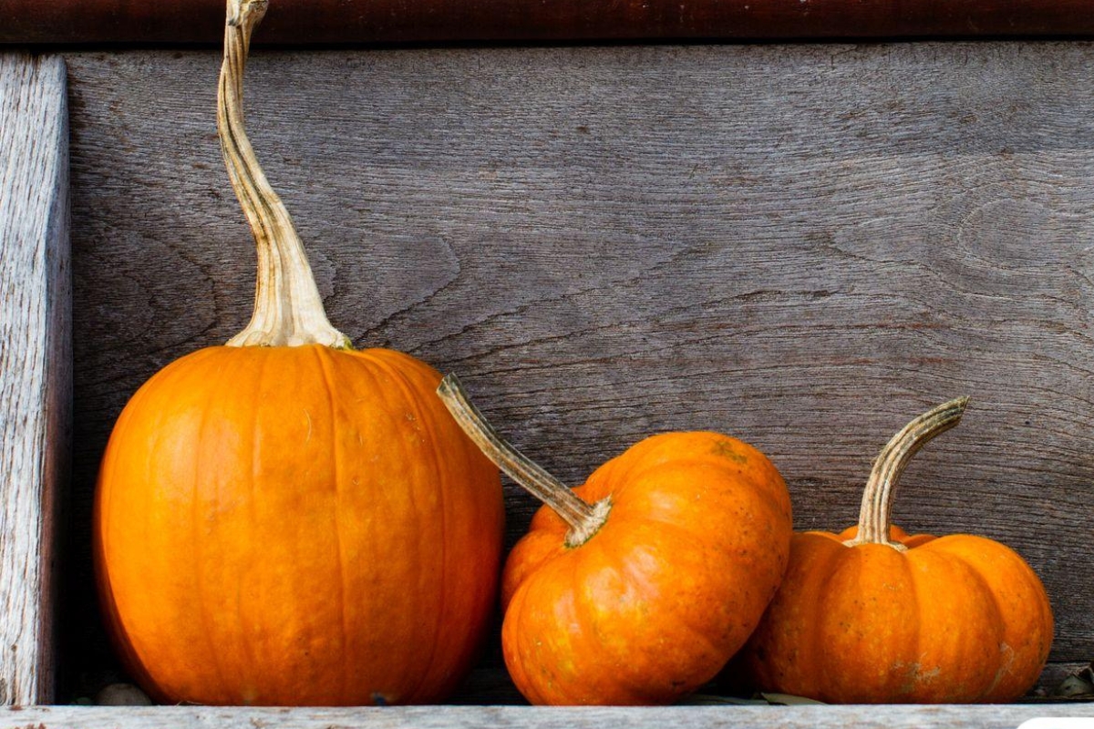 NUTSMAN BLOG Dýně v kuchyni_ nejlepší recepty na podzimní hody 9