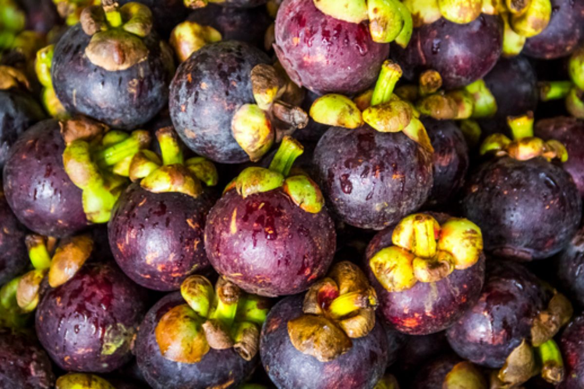 NUTSMAN BLOG Ochutnejte mangostan Zdravotní přínosy a použití 11