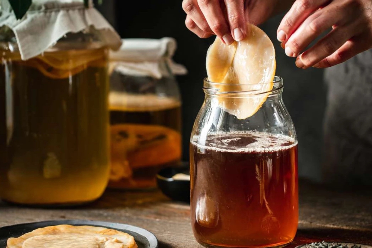 NUTSMAN BLOG Kombucha_ Jak připravit a proč ji pít každý den 10