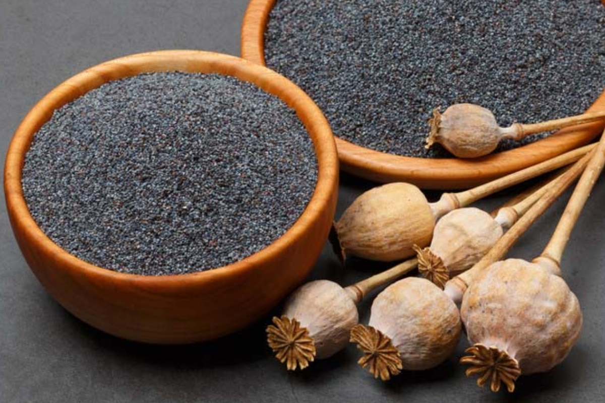 NUTSMAN BLOG Mák – Výživová bomba plná vápníku a zdravých tuků 10