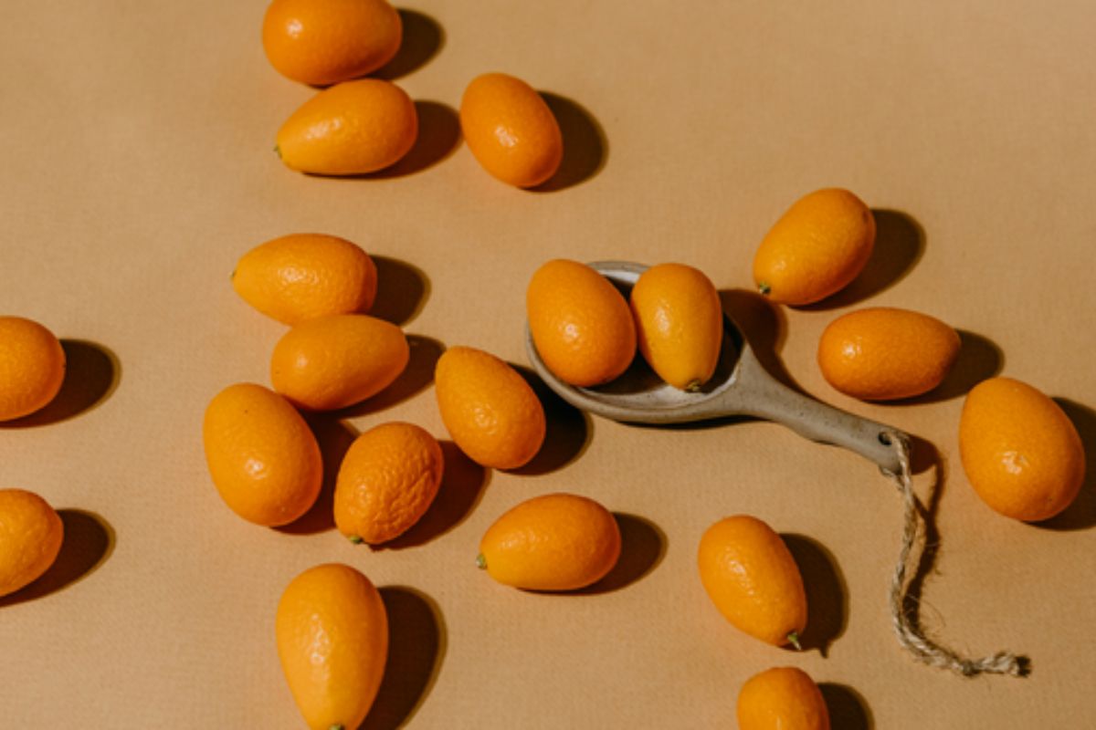 NUTSMAN BLOG Malé ovoce s velkou chutí Kumquat jako exotická lahůdka 20
