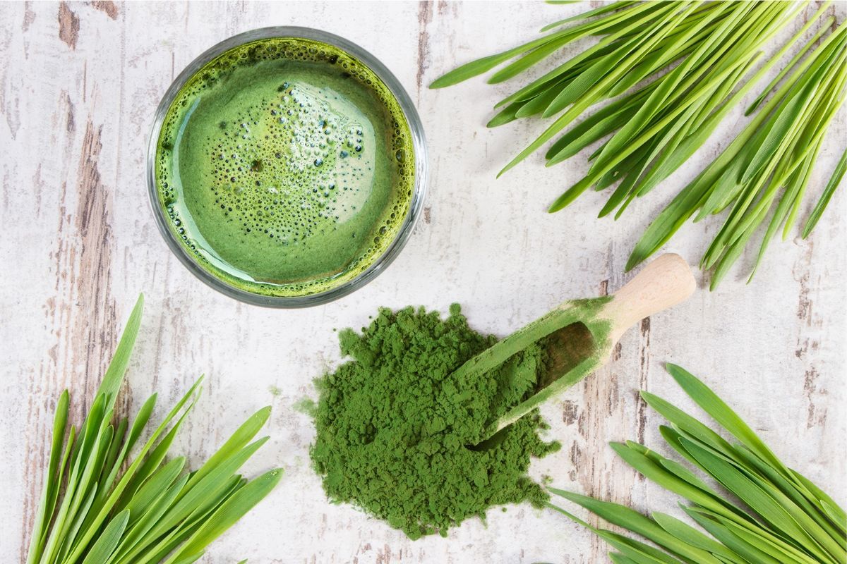 NUTSMAN BLOG Spirulina Superpotravina pro vaše zdraví 16