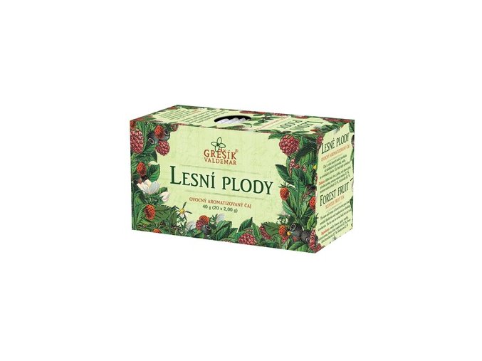 Lesní plody