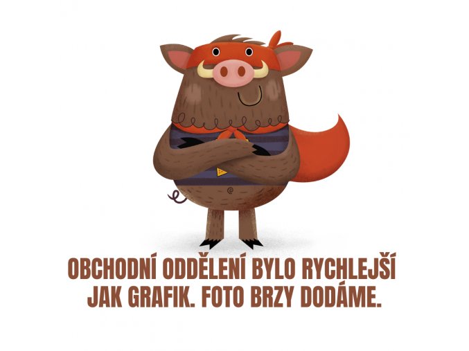 Obchodní oddělení bylo rychlejší jak grafik ) Foto brzy dodáme.