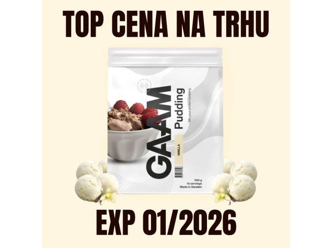 GAAM Pudding vanilla 500 g EXP 012026