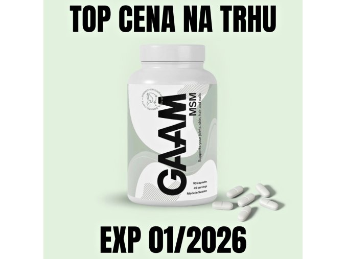 GAAM MSM 90 kapslí EXP 012026