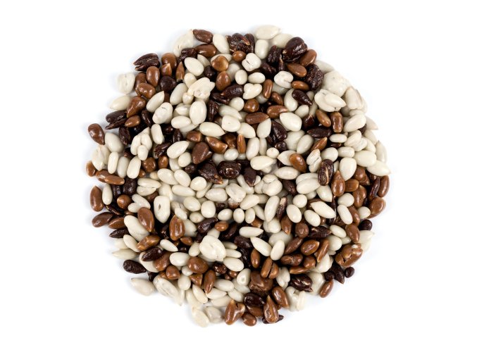 NUTSMAN Slunečnice tříbarevná