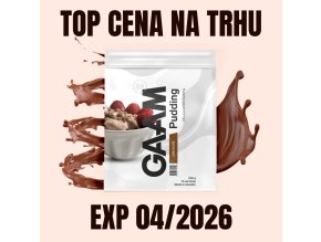 GAAM Pudding chocolate 500 g EXP 042026