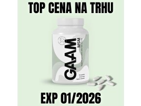 GAAM MSM 90 kapslí EXP 012026