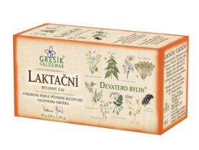 GREŠÍK čaj Devatero bylin Laktační 20 n.s. DMT 02/2026