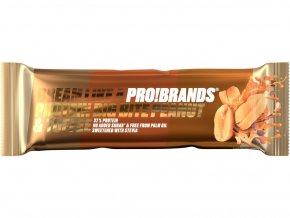 164 1 probrands protein big bite 45g