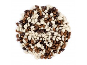 NUTSMAN Slunečnice tříbarevná