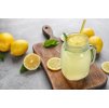 Screenshot 2024 10 04 at 12 59 55 Jar of Lemon Juice and Fresh Lemons on Table – Fotografie od Canvy