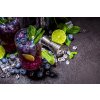 Screenshot 2024 10 04 at 13 34 25 Blueberry Iced Lemonade – Fotografie od Canvy