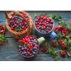 boruvky a brusinky gw 15892756040664 2988633d33a845c6b