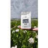 NUTSMAN Coffee Espresso - Ta pravá ořechová 250 g