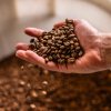 Coffeespot Káva pro zdravotníky 250 g 2
