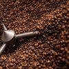 Coffeespot Honduras Marcala SHG Washed 2