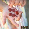 BEAR Real Fruit Snack Minis Strawberry