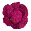 NUTSMAN Dračí ovoce (Pitahaya) lyofilizované
