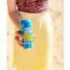 PROBRANDS BCAA Drink 330 ml ananas