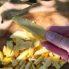 NUTSMAN Mango lyofilizované 3