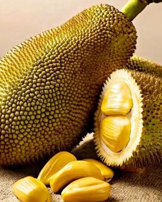🌴 Jackfruit vypadá jako exotická kuriozita. Ve skutečnosti umí překvapit mnohem víc. Právě díky své vláknité struktuře si...