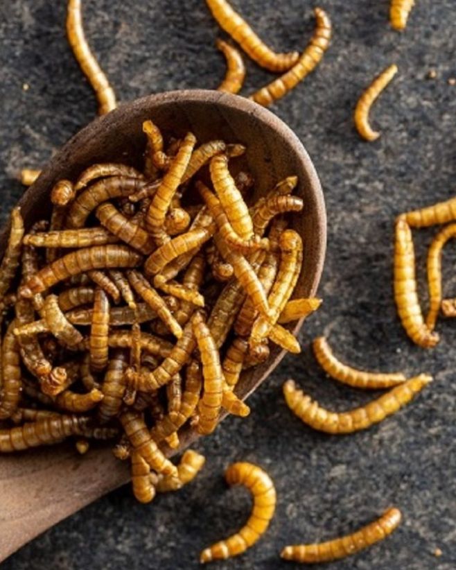 Sušený cvrček. V ruce. Před pár lety na veletrhu. 🦗 Přiznám se – váhal jsem. Ale pak jsem si řekl: když o něčem mám psát,...