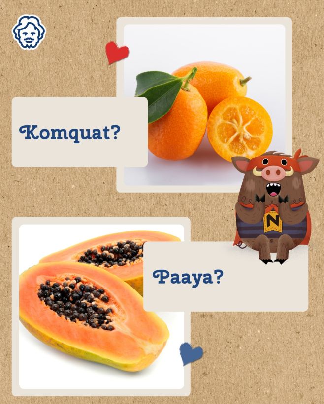 Kumquat, nebo papaya? Můj věčný vnitřní boj. 🍊🧡 🍊 Kumquat – nejmenší citrus na světě. Sladká slupka, kyselá dužina. Jíš ho...