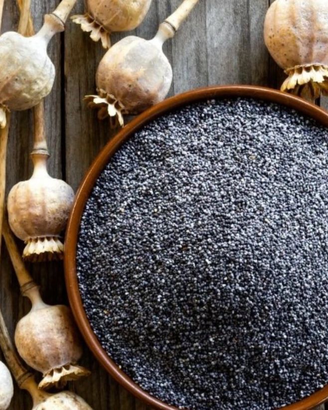 Věděl jsi, že mák obsahuje víc vápníku než mléko? 🌸 Já taky ne. Dokud jsem se o výživu nezačal zajímat víc. Mák. Ta...