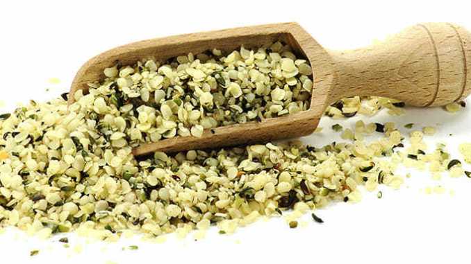 Konopné semínko - vše, co byste měli vědět