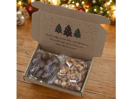Vánoční ořechová krabička 2x50g mandle v mléčné čokoládě a mix ořechů v medu a soli