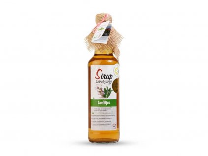 Sirup Camellus Klasik Šalvějový 0,5 l nutworld