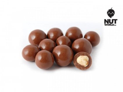 Lískové ořechy v mléčné čokoládě nutworld