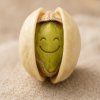 Pistacie solene prazene blog Nutworld