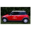 samolepka na auto just married nutworld 2