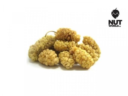 Moruše sušená nutworld