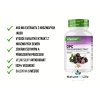 Vit4ever OPC Pure extrakt popis | Natureforlife.cz