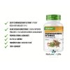 Vit4ever Ashwagandha Intenso - 750mg popis | 10% withanolides - 180 kapslí | Natureforlife.cz
