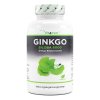 Vit4ever Ginkgo Biloba extrakt 6000 mg I Natureforlife.cz