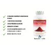 Vit4ever Astaxanthin 12 mg popis | Natureforlife.cz