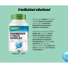 Vit4ever Magnesium komplex 11 druhů hořčíku | Natureforlife.cz