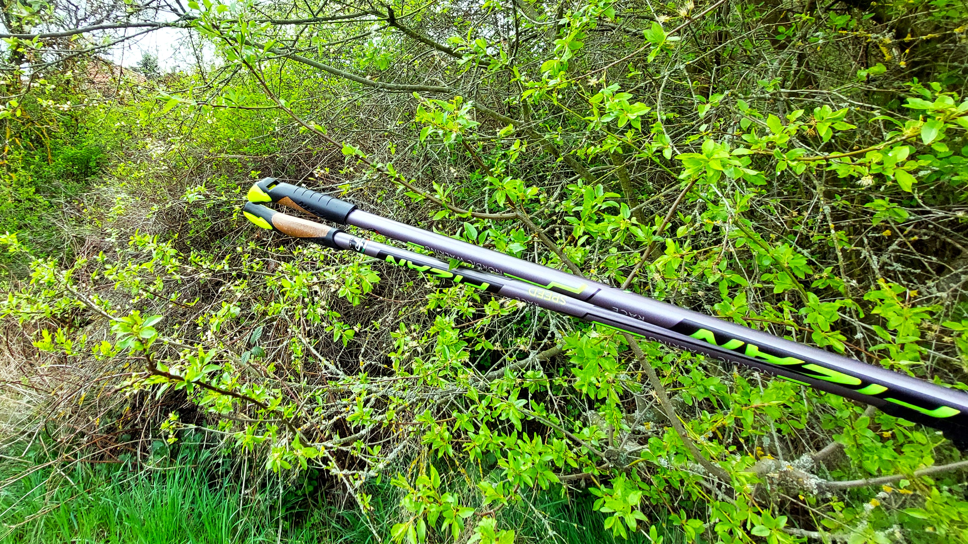 PROČ NENÍ POHYB SAMOZŘEJMOSTÍ?