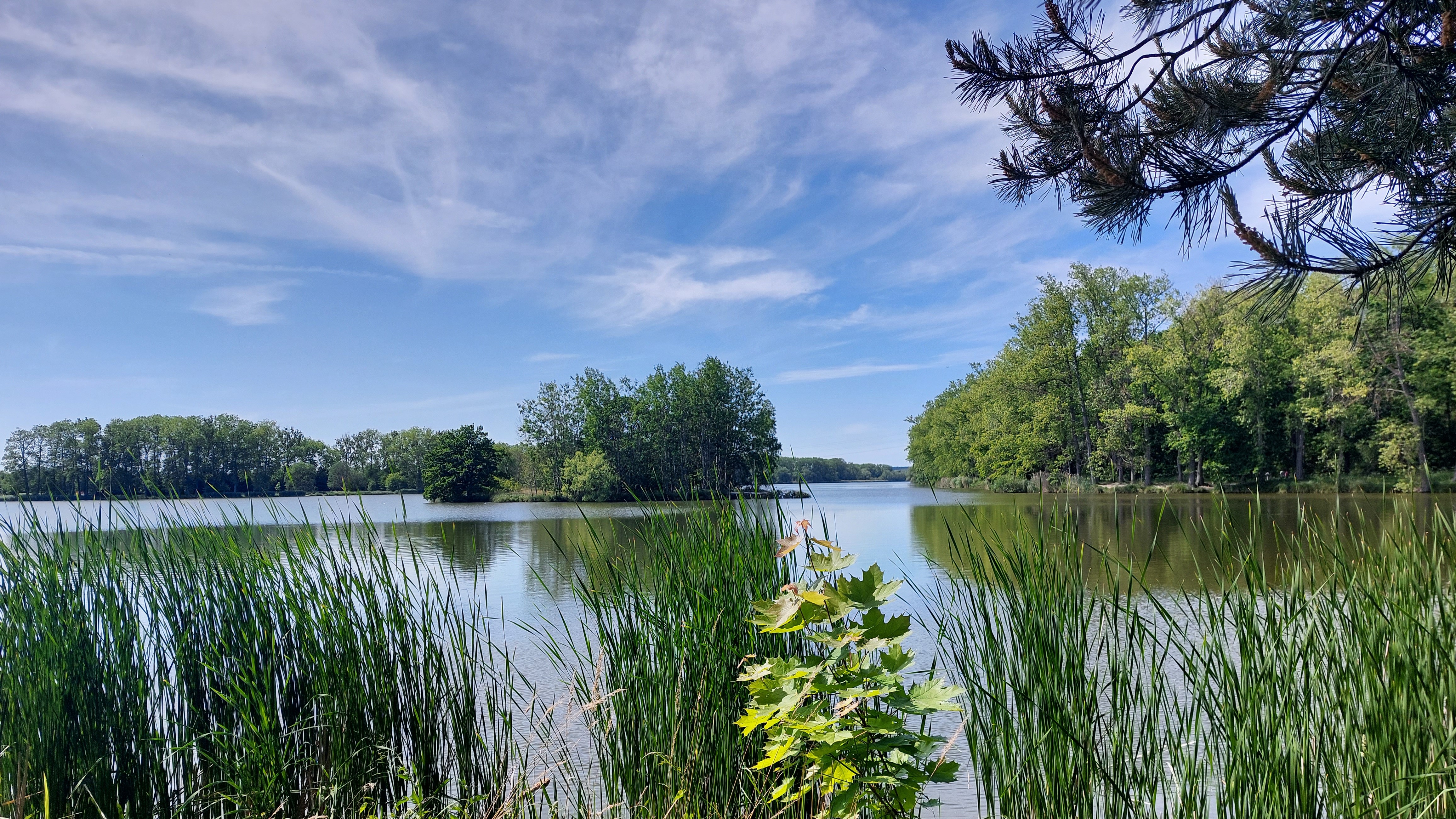 NORDIC WALKING POMÁHÁ PROTI STRESU