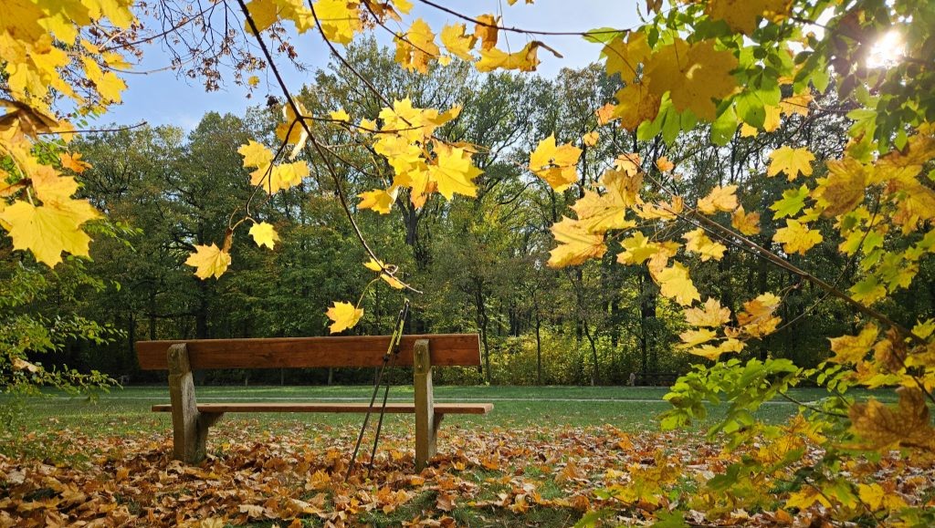 JAKÉ JSOU DRUHY CHŮZE A JAK SE V NICH VYZNAT?