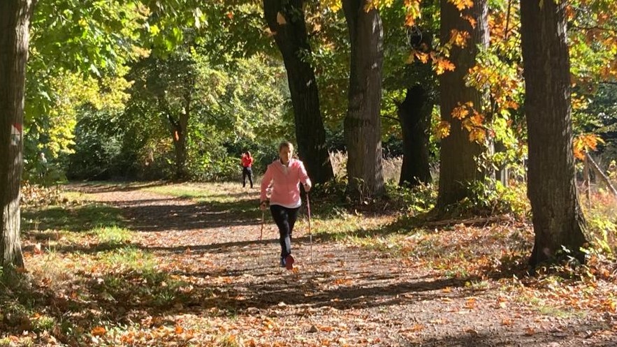 Nordic Walking - základní kurz (2,5 - 3 hodiny)