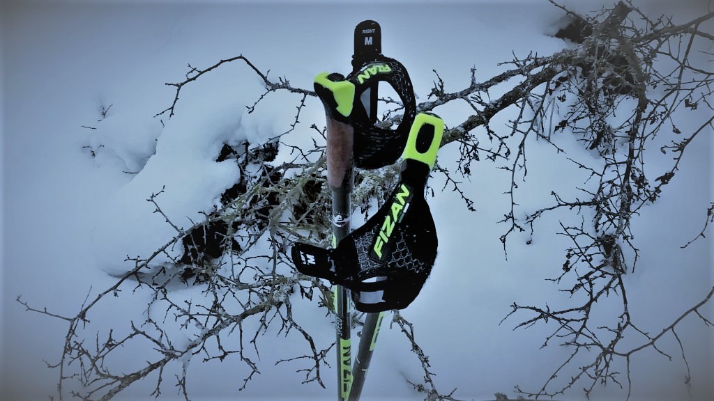 NORDIC WALKING V ZIMĚ