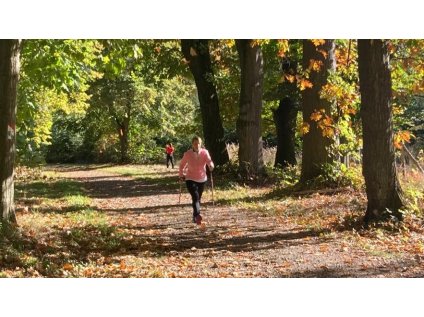Nordic walking - základní kurz pro začátečníky