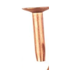 obrázek 2026 05 16 071351859